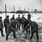 Group of men digging with pickaxes in snow while a guard watches